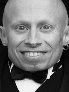 Верн Тройер