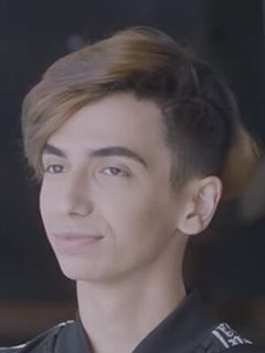 Дайлер