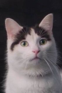Нико