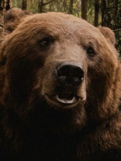 Том