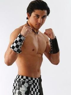 Т.Дж. Перкинс