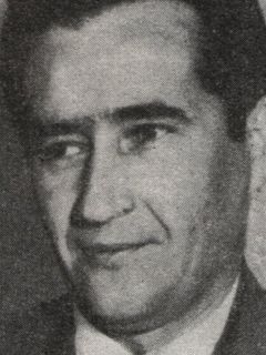 Славолюб Стефанович-Раваси