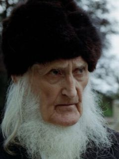 Мистер Виг