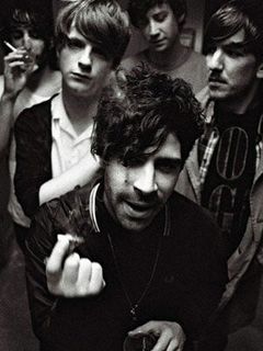 Foals