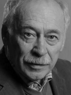 Владимир Сулимов
