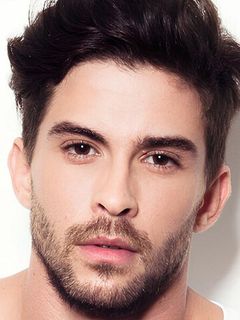 Сислей Диаш