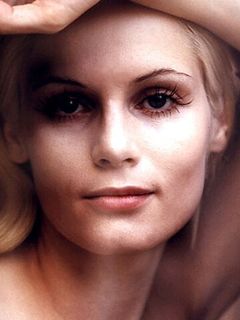 Вики Питерс