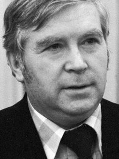 Будимир Метальников