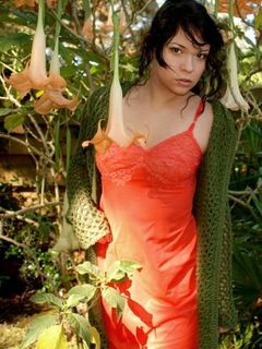 Джолей Суисайд