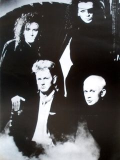 Dead or Alive