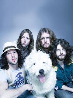 The Sheepdogs