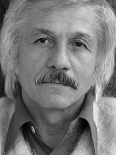 Михай Волонтир