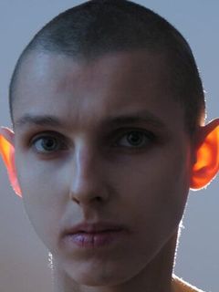 Томек Попакул