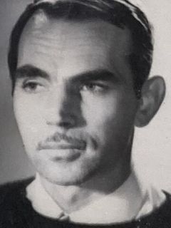Юрий Швырев