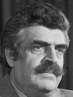 Ян Френкель