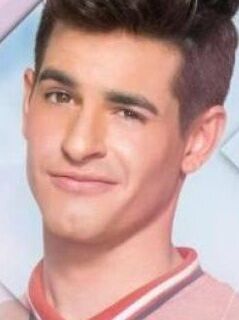 Николас Гарнье