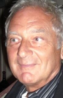 Зиги Ротемунд