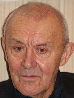 Аркадий Волгин