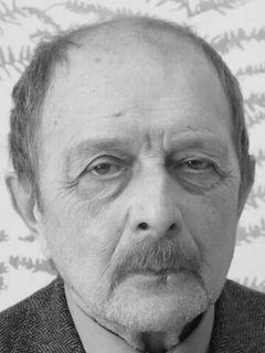 Константин Желдин