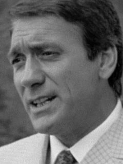 Этторе Риботта