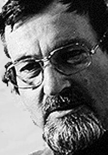 Вернер Бергман