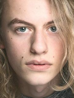 Людовико Жирарделло