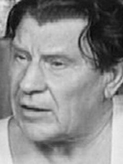 Николай Сибейкин