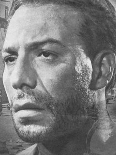 Фарид Шауки