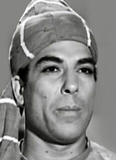 Sayyed El Araby