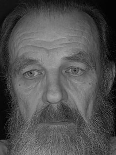 Сергей Студеникин