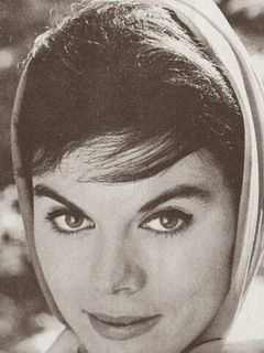 Жаклин Вэндал