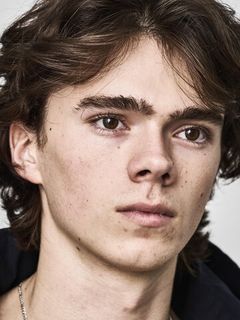 Дарси Тадич