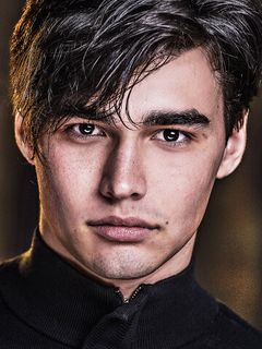 Мэттью Вильнёв