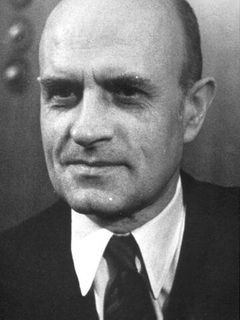 Мирко Елюшич