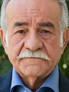 Саид Пурсамими