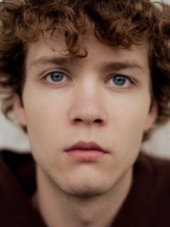 Лино Гайер