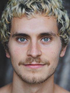 Людвиг Брикс