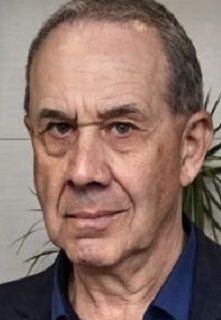 Владимир Дубровин