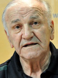 Велимир «Бата» Живоинович