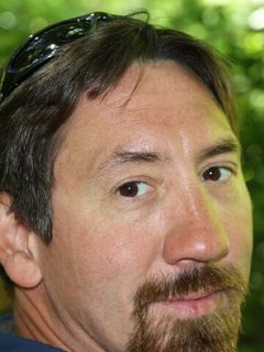 Мэтт Уилкинс