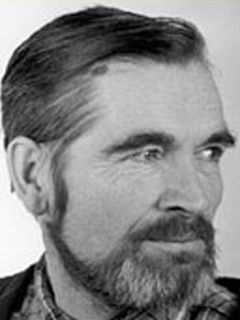 Арви Халлик