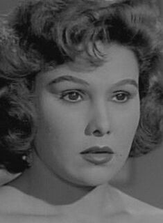 Берланти Абдельхамид