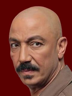Tarek Lotfy