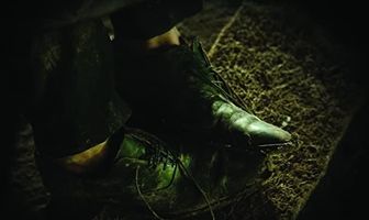 The Egg