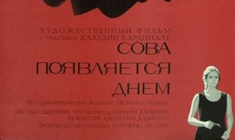 Сова появляется днём