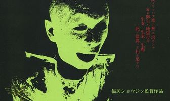 Пиноккио 964