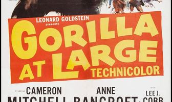 Горилла на свободе