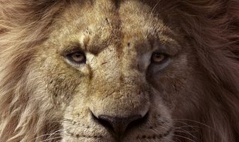 Король Лев