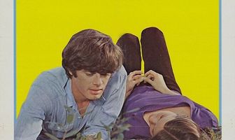 В погоню за счастьем