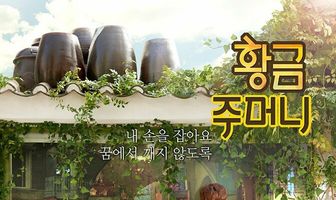 Золотой мешочек